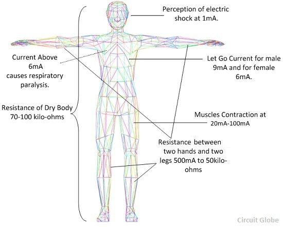 What Are The Effects Of Electric Current On Human Body Definition Meaning Circuit Globe