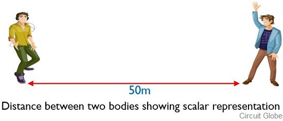 Difference Between Scalar and Vector Quantity (with Comparison Chart